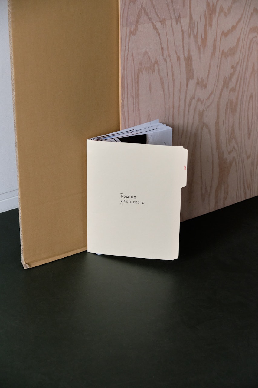 Cover image for RAW - DOMINO ARCHITECTS